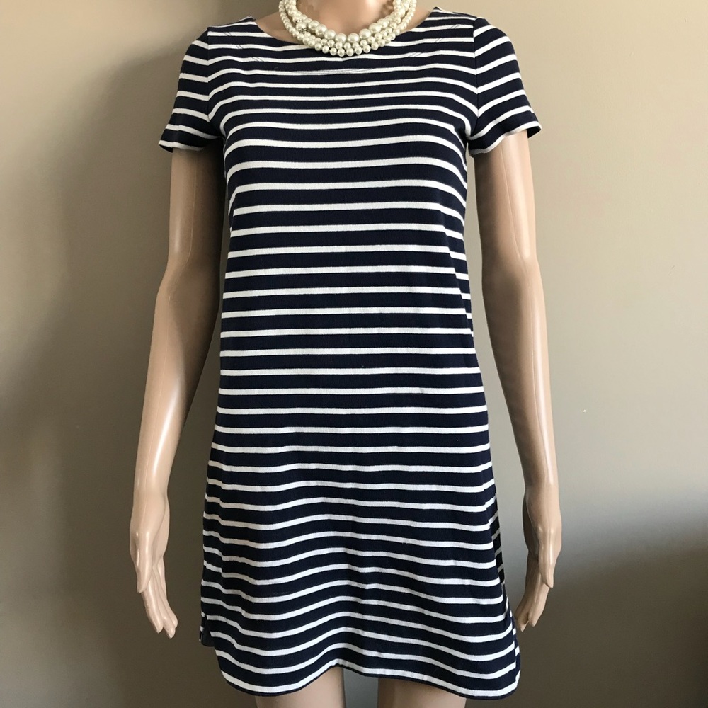 Ann Taylor Loft Dress